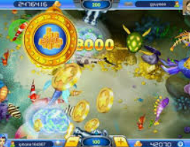 开元国际67ky正式版